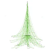 Sapin - Gregoire Divaret