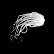 Medusa - Denis Hovart